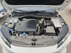 Changan Yida Blue Whale NE 1.5T GDI DCT Comfort Edition - ფოტო 19
