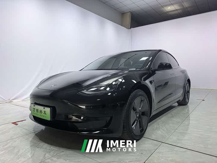 Tesla Model 3 Standard Range RWD Upgrade 3D6