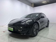 Tesla Model 3 Standard Range RWD Upgrade 3D6 - photo 1