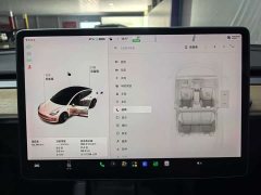 Tesla Model 3 Standard Range RWD Upgrade 3D6 - photo 14
