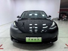 Tesla Model 3 Standard Range RWD Upgrade 3D6 - photo 2