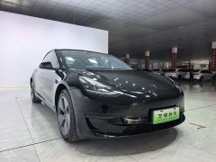 Tesla Model 3 Standard Range RWD Upgrade 3D6 - photo 3