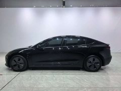 Tesla Model 3 Standard Range RWD Upgrade 3D6 - photo 4