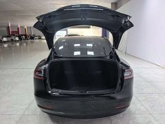 Tesla Model 3 Standard Range RWD Upgrade 3D6 - photo 7