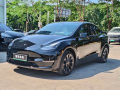 Tesla Model Y Long Range All-Wheel Drive - ფოტო 1