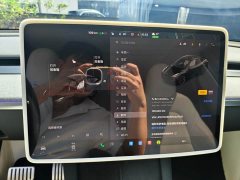 Tesla Model Y Long Range All-Wheel Drive - ფოტო 12