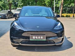 Tesla Model Y Long Range All-Wheel Drive - ფოტო 2