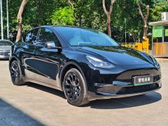 Tesla Model Y Long Range All-Wheel Drive - ფოტო 3
