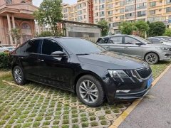 Skoda Octavia 1.5L Edition - ფოტო 3