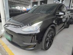 Tesla Model Y Standard Range RWD - фото 1