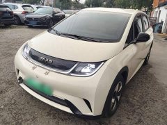 BYD Dolphin Glory Edition 420km Freedom Version - ფოტო 1