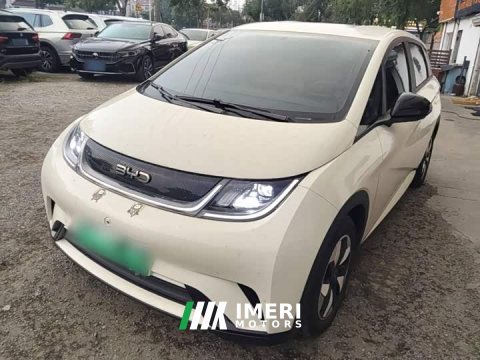 2024 BYD Dolphin Glory Edition 420km Freedom Version - ავტომობილი ჩინეთიდან
