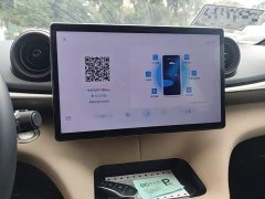 BYD Dolphin Glory Edition 420km Freedom Version - ფოტო 12