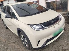 BYD Dolphin Glory Edition 420km Freedom Version - ფოტო 3