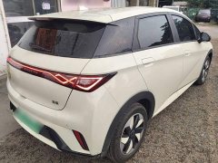 BYD Dolphin Glory Edition 420km Freedom Version - ფოტო 6