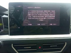 Volkswagen Sagitar 300TSI DSG Excellence Edition - ფოტო 12