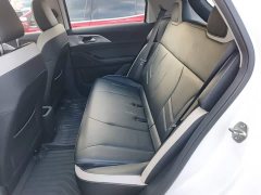 Geely Geometry E Firefly 320KM Cute Tiger 4-Seater - ფოტო 16