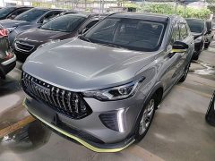 Haval Chitu Jinxiang Edition 1.5T Bronze Rabbit - photo 1