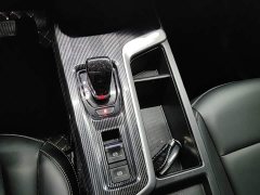 Haval Chitu Jinxiang Edition 1.5T Bronze Rabbit - photo 13