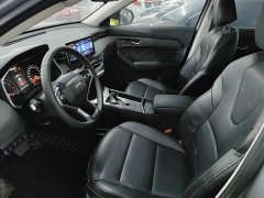 Haval Chitu Jinxiang Edition 1.5T Bronze Rabbit - photo 14