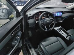 Haval Chitu Jinxiang Edition 1.5T Bronze Rabbit - photo 15