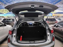 Haval Chitu Jinxiang Edition 1.5T Bronze Rabbit - photo 18