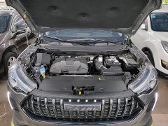 Haval Chitu Jinxiang Edition 1.5T Bronze Rabbit - photo 19