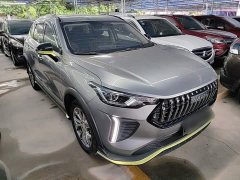 Haval Chitu Jinxiang Edition 1.5T Bronze Rabbit - photo 3