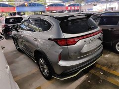 Haval Chitu Jinxiang Edition 1.5T Bronze Rabbit - photo 4