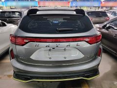 Haval Chitu Jinxiang Edition 1.5T Bronze Rabbit - photo 5