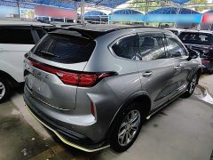 Haval Chitu Jinxiang Edition 1.5T Bronze Rabbit - photo 6