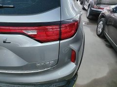Haval Chitu Jinxiang Edition 1.5T Bronze Rabbit - photo 7