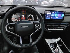 Haval Chitu Jinxiang Edition 1.5T Bronze Rabbit - photo 9