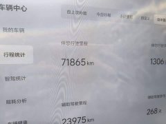 Li Auto L9 Max - ფოტო 2