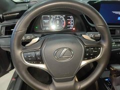 Lexus ES 260 Excellence Edition - ფოტო 10