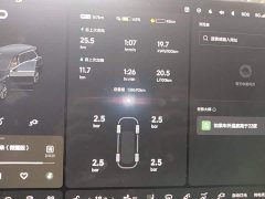 Li Auto L9 Max - ფოტო 11