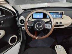 Wuling Binguo 333km Quick Enjoy Edition - ფოტო 10