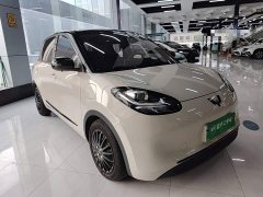 Wuling Binguo 333km Quick Enjoy Edition - ფოტო 3