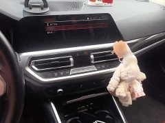 BMW 3 Series Facelift 325Li M Sport Package - ფოტო 5