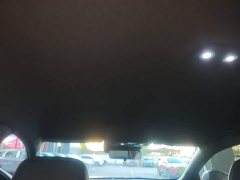 BYD Qin L DM-i 128KM Leading Edition - ფოტო 13
