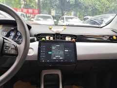 Leapmotor T03 310 Lite Enjoy Edition - ფოტო 12