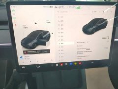 Tesla Model Y Rear-Wheel Drive - ფოტო 11