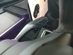 Tesla Model Y Rear-Wheel Drive - ფოტო 13