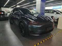 Tesla Model Y Rear-Wheel Drive - ფოტო 3