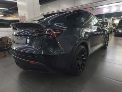 Tesla Model Y Rear-Wheel Drive - ფოტო 6