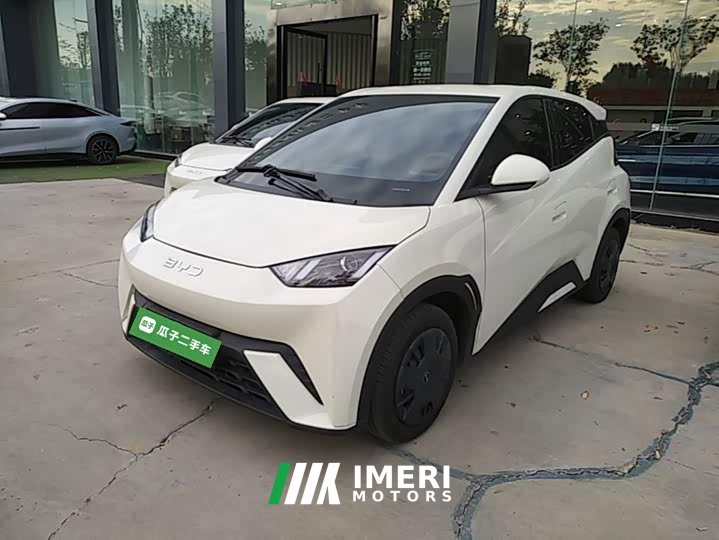 BYD Seagull 305km Vitality Edition - ავტომობილი ჩინეთიდან