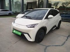 BYD Seagull 305km Vitality Edition - ფოტო 1