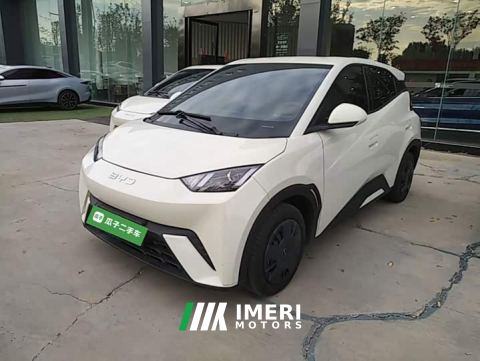 2024 BYD Seagull 305km Vitality Edition