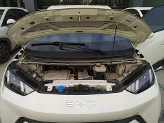 BYD Seagull 305km Vitality Edition - ფოტო 19