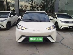 BYD Seagull 305km Vitality Edition - ფოტო 2